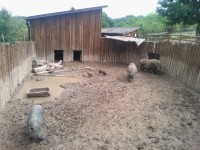 /album/fotogalerie-zoopark-zajezd-mala-rodinna-zoo-nedaleko-kladna/zoopark-zajezd34-jpg/